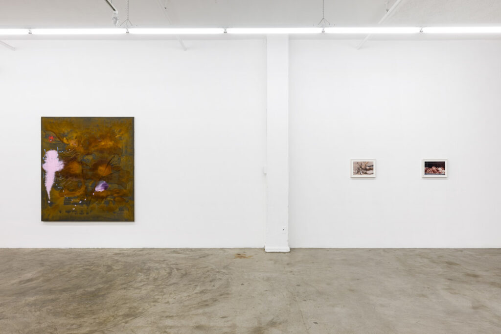 Exhibition view of "Oceans of Time" at Château Shatto Gallery in Los Angeles.